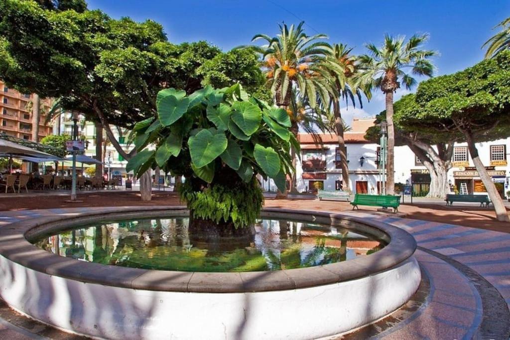 Centrico, Comodo Y Bello Apto En Puerto De La Cruz Εξωτερικό φωτογραφία